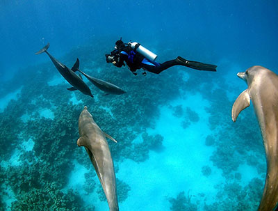 Underwater_Nature_Documentaries